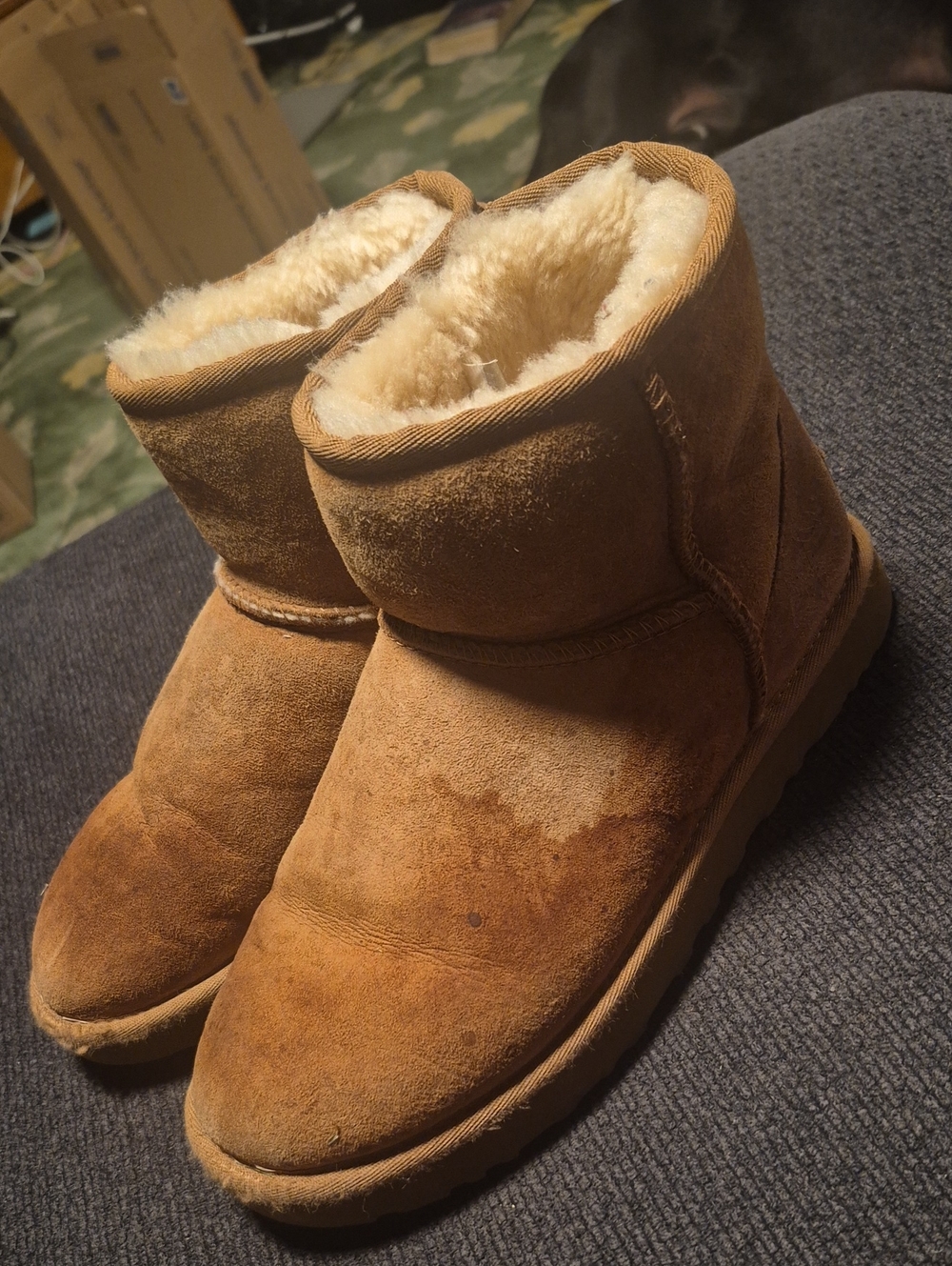 UGG Women's Chestnut Suede Short Shearling Boots